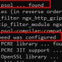 configure_ngx_pagespeed.jpg