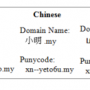 idn-punycode-en.png