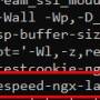 nginx_-v.jpg