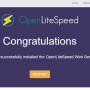 openlitespeed_web_server.jpg