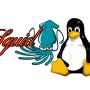 squid-proxy-linux.jpg
