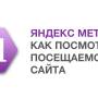 yandex.metrica.jpg